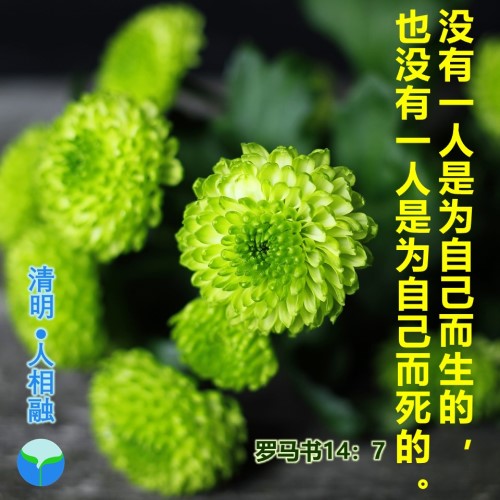 清明时节 追念先祖